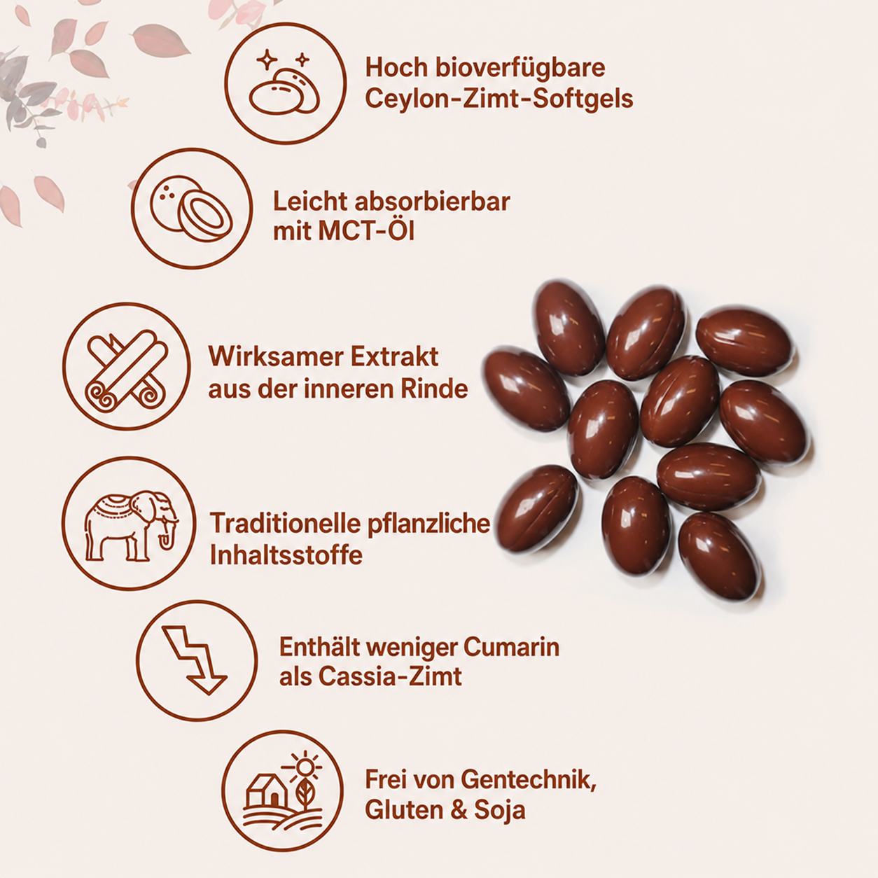Eloritas Ceylon-Zimt-Weichkapseln