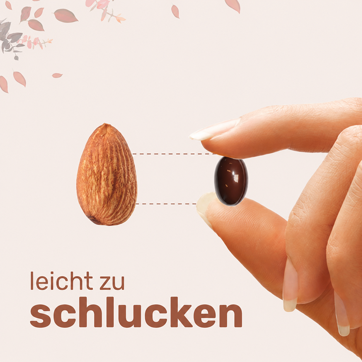 Eloritas Ceylon-Zimt-Weichkapseln